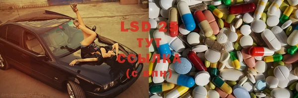 ПСИЛОЦИБИНОВЫЕ ГРИБЫ Туринск