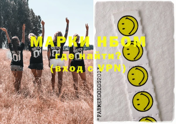 ПСИЛОЦИБИНОВЫЕ ГРИБЫ Туринск